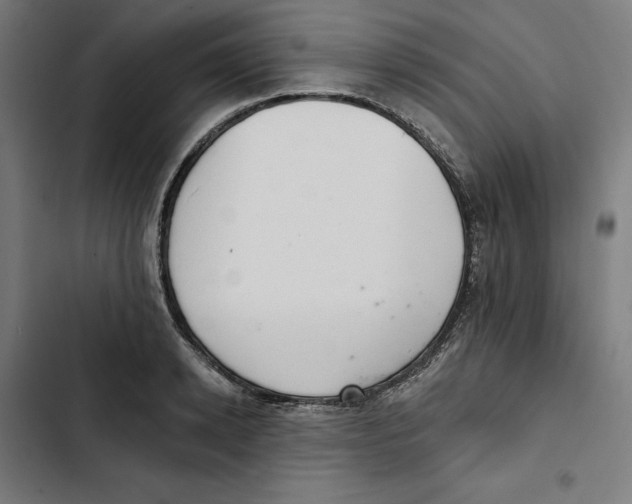 X0000102500942200809051342