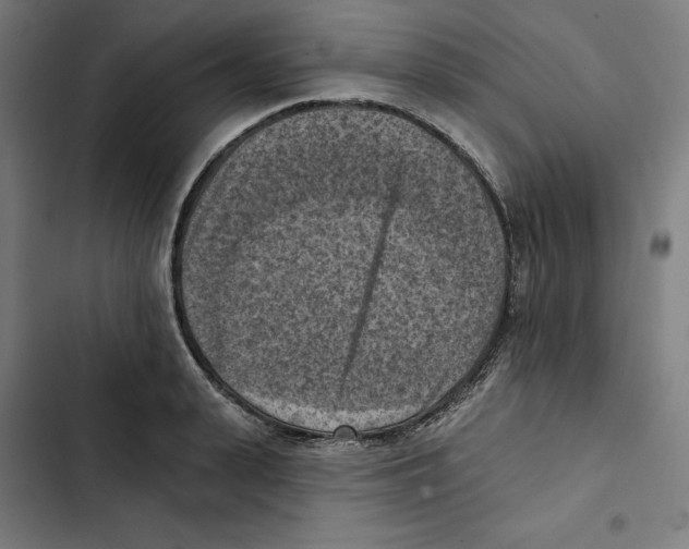 X0000102500943200809051342