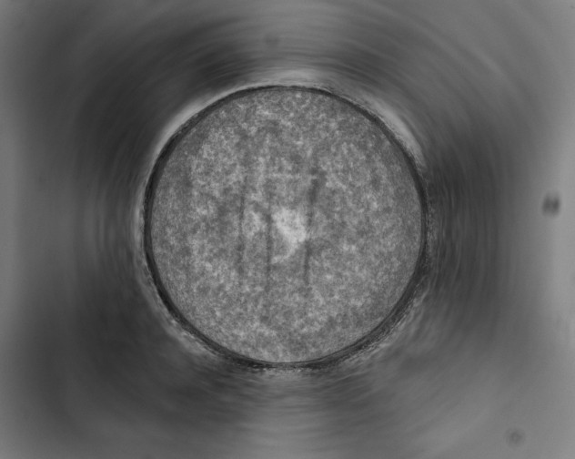 X0000102500944200809051342