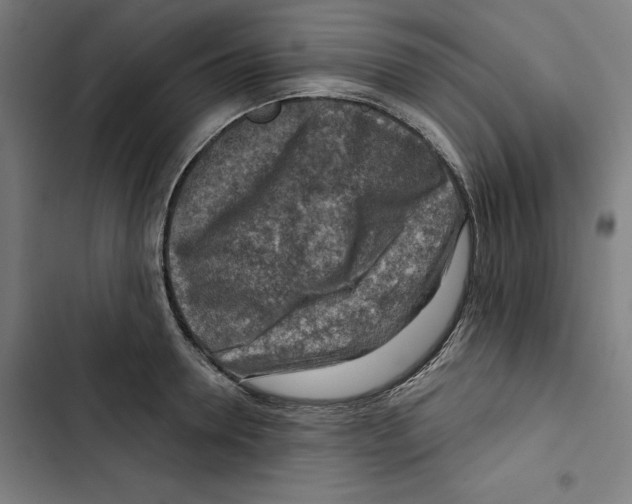 X0000102500946200809051342