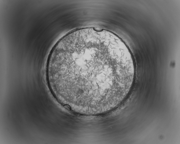 X0000102500949200809051342
