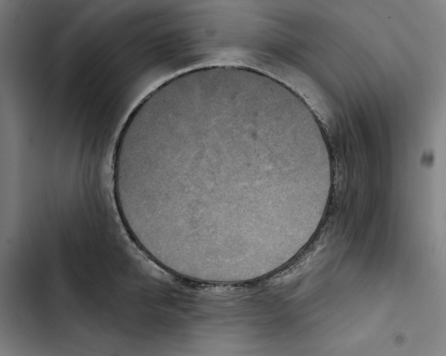 X0000102500950200809051342