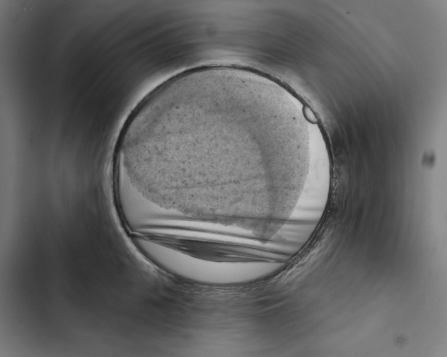 X0000102500951200809051342