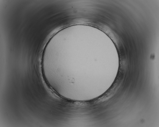 X0000102500954200809051343