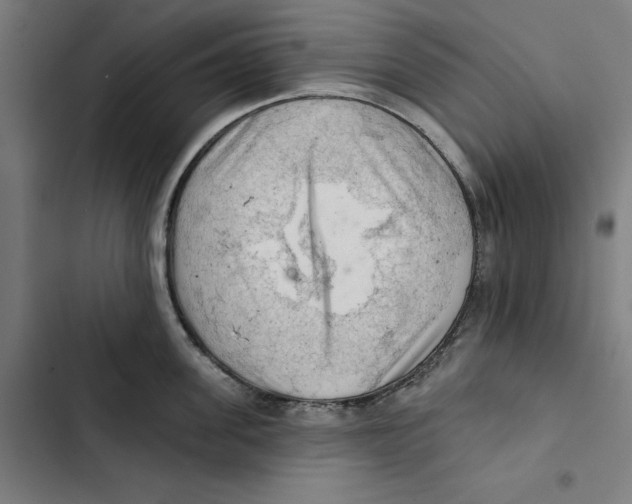 X0000102500955200809051343