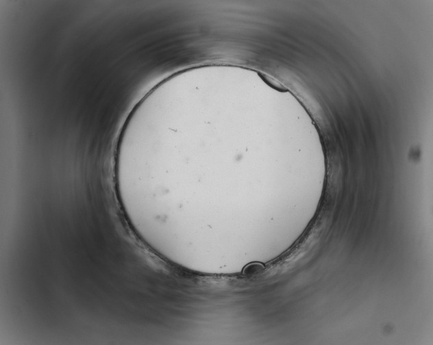 X0000102500956200809051343