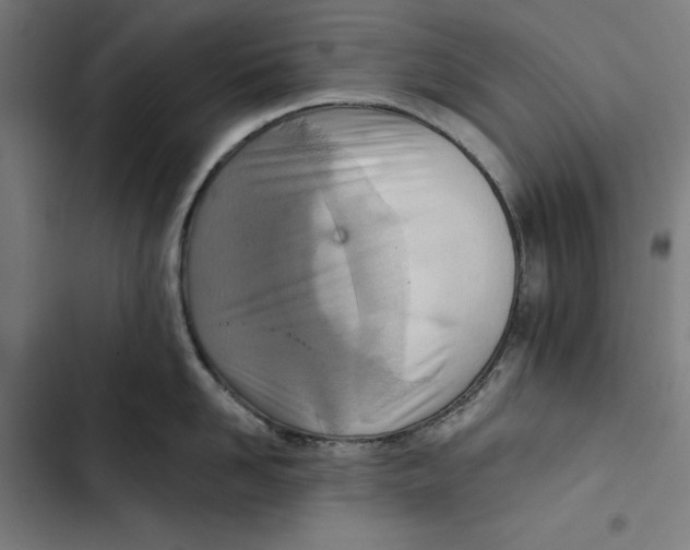 X0000102500958200809051343