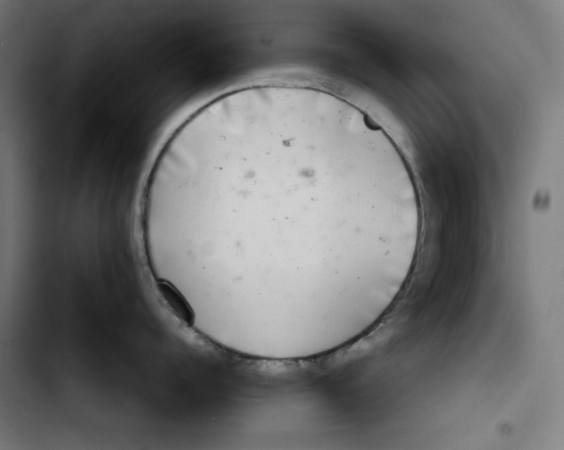 X0000102500960200809051343