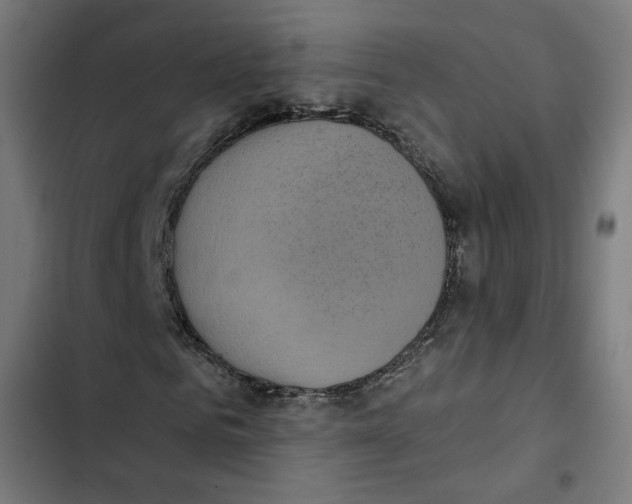 X0000102500961200809051342