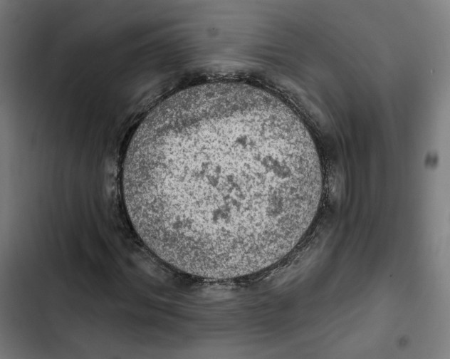 X0000102500964200809051342