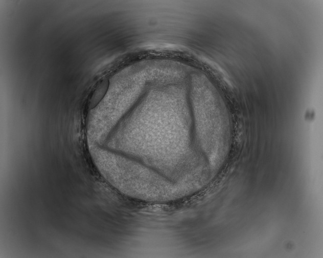 X0000102500966200809051342