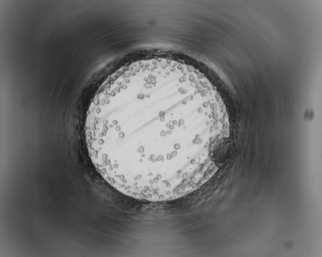 X0000102500967200809051342