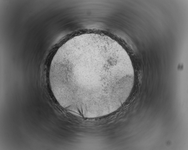 X0000102500968200809051342