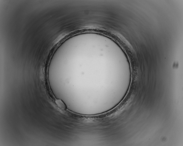 X0000102500969200809051342