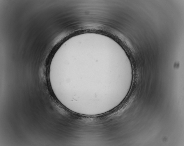 X0000102500970200809051342