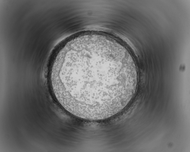 X0000102500971200809051342