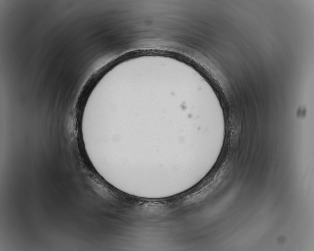 X0000102500974200809051342