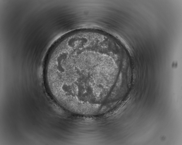 X0000102500975200809051342