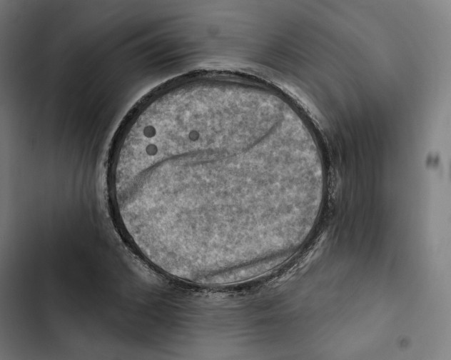 X0000102500976200809051342