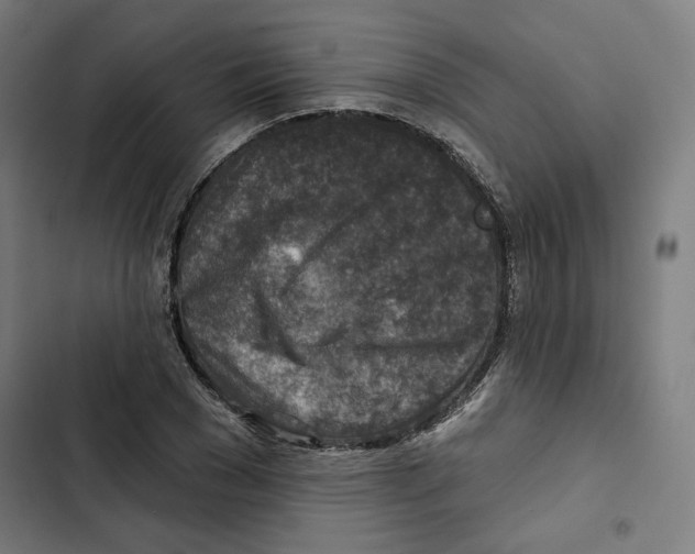 X0000102500977200809051342