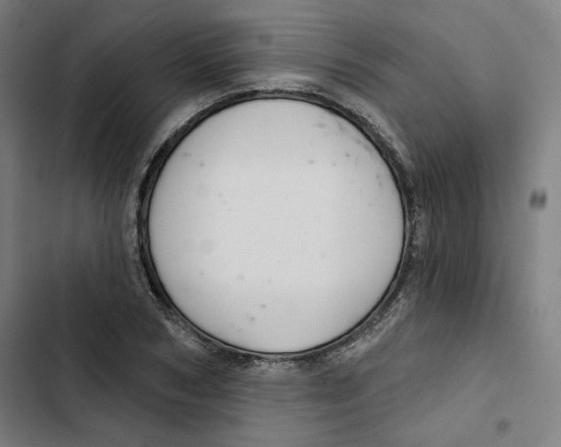 X0000102500978200809051342