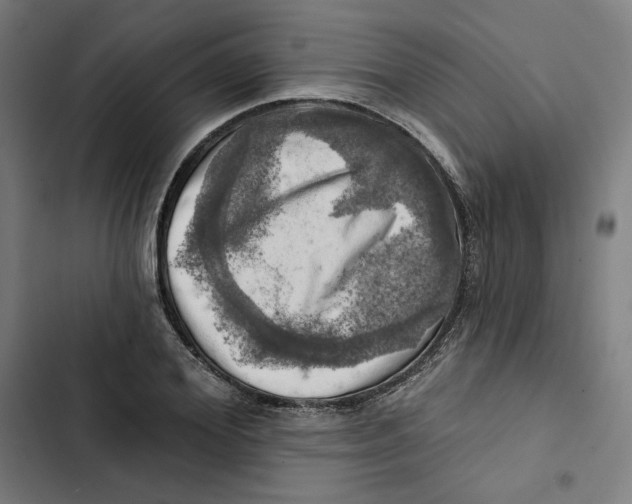 X0000102500980200809051341