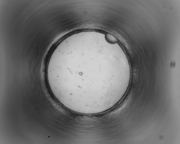 X0000102500981200809051341