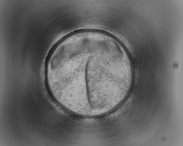 X0000102500982200809051341