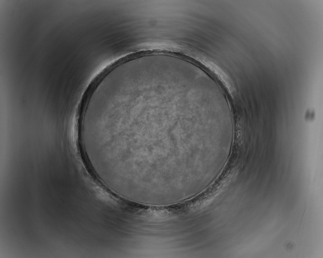 X0000102500983200809051341