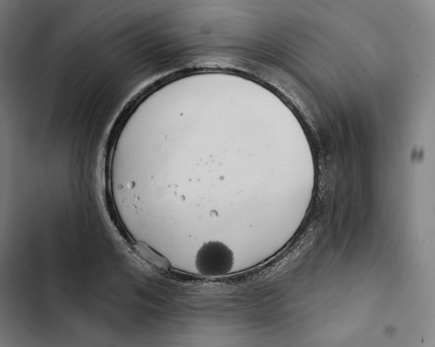 X0000102500984200809051341