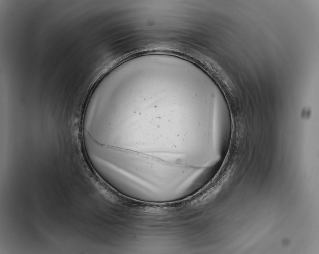 X0000102500985200809051341