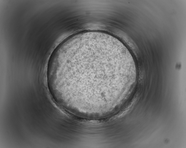 X0000102500986200809051341