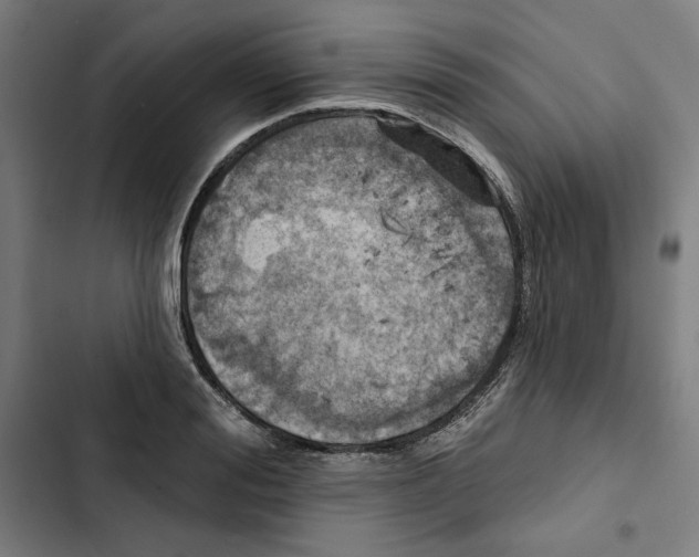 X0000102500988200809051341