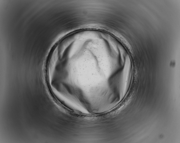 X0000102500989200809051341