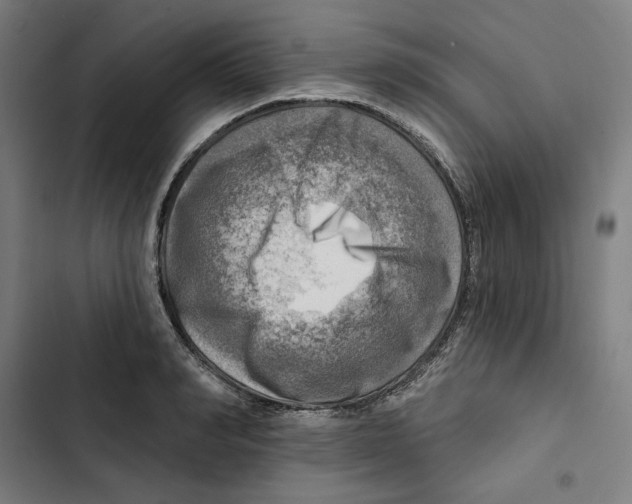 X0000102500990200809051341