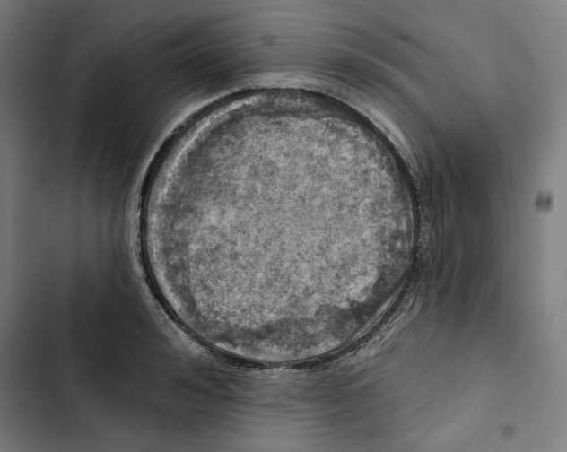 X0000102500992200809051341