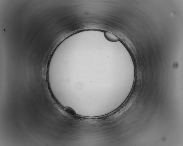 X0000102500993200809051341