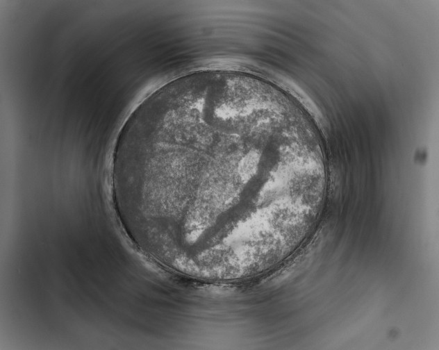 X0000102500994200809051341