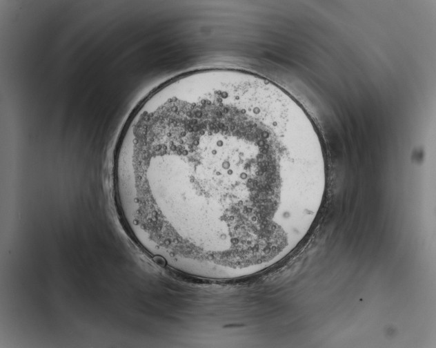 X0000102500996200809051341