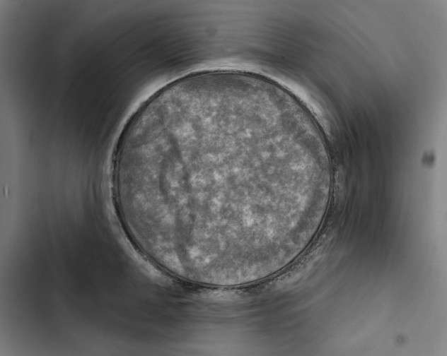 X0000102500998200809051341