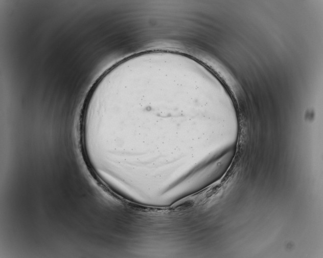 X0000102500999200809051341