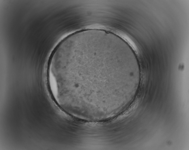 X0000102501000200809051341