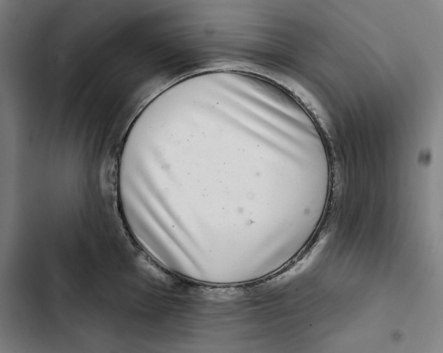 X0000102501001200809051341