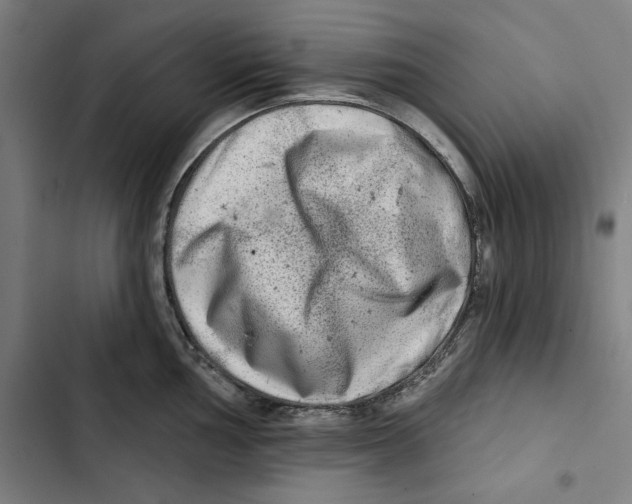 X0000102501002200809051341