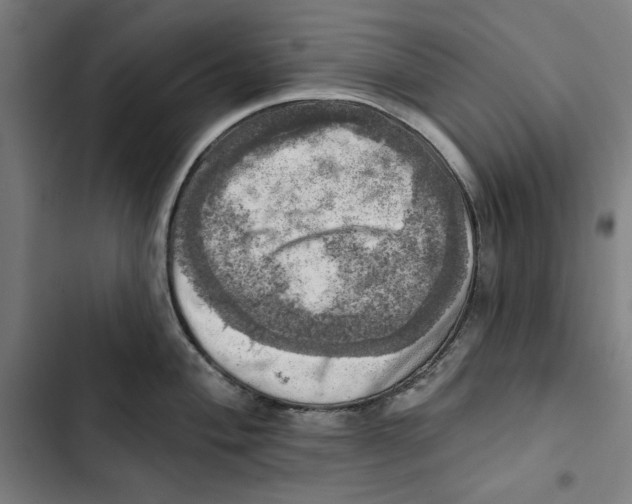 X0000102501004200809051341