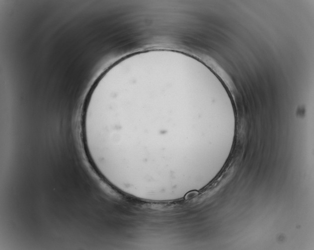 X0000102501005200809051341