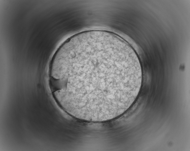 X0000102501006200809051341