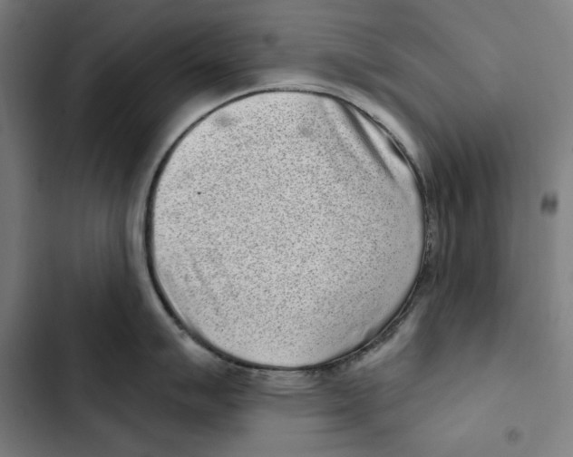 X0000102501007200809051341