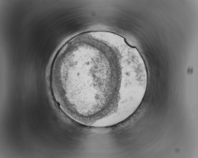 X0000102501008200809051341