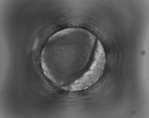 X0000102501009200809051340